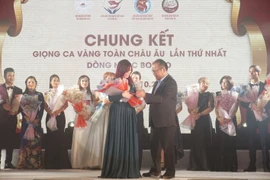 Đại sứ Thái Xuân Dũng trao giải đặc biệt. (Ảnh: Hồng Kỳ/Vietnam+) 