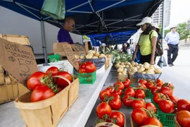 Người dân mua sắm tại một chợ ở Ontario, Canada ngày 20/7/2022. (Ảnh: THX/TTXVN) 