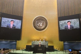 Thứ trưởng Bộ Ngoại giao Hà Kim Ngọc phát biểu tại Hội nghị. (Ảnh: TTXVN) 