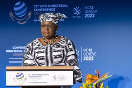 Tổng giám đốc Tổ chức Thương mại Thế giới (WTO) Ngozi Okonjo-Iweala. (Ảnh: AFP/TTXVN) 