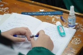 (Ảnh minh họa: Bích Huệ/TTXVN) 