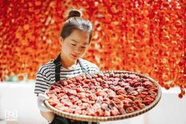 Sản xuất trồng treo gió theo công nghệ Nhật Bản ở Lâm Đồng. (Ảnh: Chu Quốc Hùng/Vietnam+)