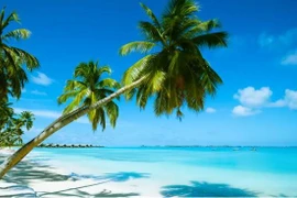 Ba du khách tử vong tại khu nghỉ dưỡng trên đảo lớn Exuma. (Nguồn: Getty Images) 