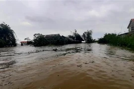 Nhiều ngôi nhà bị ngập sâu. (Ảnh: Tường Vi/TTXVN) 