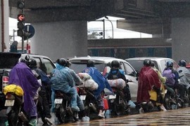 (Ảnh minh họa: Phạm Kiên/TTXVN)