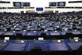 Toàn cảnh một phiên họp Nghị viện châu Âu tại Strasbourg, miền Đông Pháp. (Ảnh: AFP/TTXVN) 