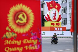 (Ảnh minh họa: Trọng Đạt/TTXVN) 