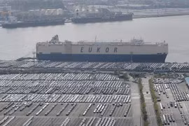 Xe ôtô chờ vận chuyển tại kho cảng của nhà máy sản xuất xe Hyundai ở Ulsan, Hàn Quốc ngày 16/9/2022. (Ảnh: Yonhap/TTXVN)