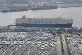 Xe ôtô chờ vận chuyển tại kho cảng của nhà máy sản xuất xe Hyundai ở Ulsan, Hàn Quốc ngày 16/9/2022. (Ảnh: Yonhap/TTXVN)