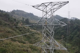 (Ảnh minh họa: Anh Tuấn/TTXVN)