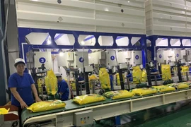 Chuyển gạo vào container tại Công ty cổ phần Nông nghiệp Công nghệ cao Trung An. (Nguồn: TTXVN phát) 
