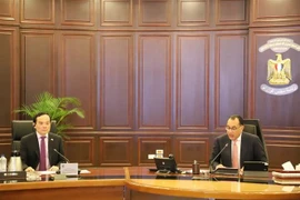 Phó Thủ tướng Trần Lưu Quang hội đàm với Thủ tướng Ai Cập Mostafa Madbouly. (Ảnh: Nguyễn Trường/TTXVN)