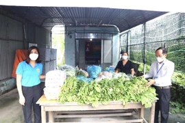 Các cá nhân, tập thể cung cấp rau cho quầy hàng nông sản giá 0 đồng. (Nguồn: TTXVN phát) 