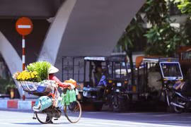 (Ảnh minh họa: Hoài Nam/Vietnam+)
