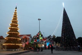 Hai cây thông Noel cỡ lớn được trang hoàng tại Vương cung thánh đường Đức Mẹ Phú Nhai (xã Xuân Phương, huyện Xuân Trường). (Ảnh: Văn Đạt/TTXVN) 