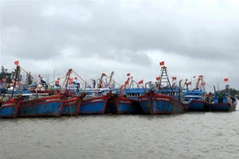 Tàu thuyền neo đậu tại cảng Tịnh Kỳ. (Ảnh: Lê Ngọc Phước/TTXVN) 