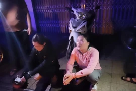 Hai đối tượng bị lực lượng chức năng bắt giữ. (Ảnh: TTXVN phát) 