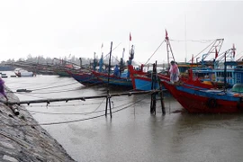 Tàu thuyền tránh trú bão. (Ảnh: Công Tường/TTXVN) 