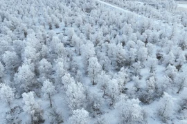 Tuyết phủ trắng xóa tại tỉnh Cam Túc, Tây Bắc Trung Quốc, ngày 4/2/2024. (Ảnh: AFP/TTXVN)