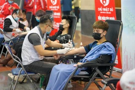 Các bạn trẻ tham gia hiến máu trong ngày hội Chủ nhật Đỏ lần thứ 13 - năm 2021. (Nguồn: TTXVN phát) 