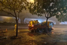 (Ảnh: Mạnh Khánh/TTXVN) 