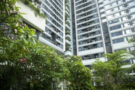 (Ảnh minh họa: Hồng Đạt/TTXVN) 