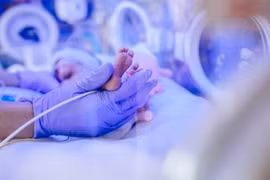 Nghiên cứu của Viện Nghiên cứu Y khoa Hudson của Australia đã phát hiện quá trình tác động của tình trạng viêm nhiễm lên chức năng và sự trưởng thành của tế bào não ở thai nhi.(Nguồn: Shutterstock)