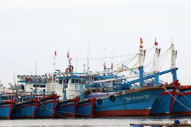 (Ảnh minh họa: Công Thử/TTXVN) 