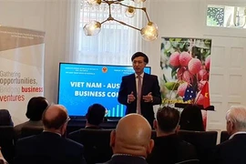 Đại sứ Việt Nam tại Australia Nguyễn Tất Thành tại buổi gặp gỡ. (Ảnh: Diệu Linh/TTXVN) 