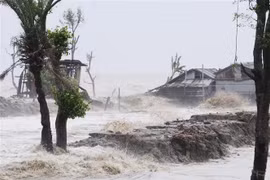 Cảnh tàn phá sau khi bão Amphan đổ bộ tại Bagerhat, Bangladesh ngày 20/5/2020. (Nguồn: THX/TTXVN) 