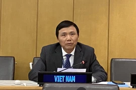 Đại sứ Đặng Đình Quý, Trưởng phái đoàn đại diện Việt Nam tại Liên hợp quốc, phát biểu tại hội nghị. (Ảnh: Hữu Thanh/TTXVN) 