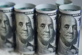 Đồng USD. (Nguồn: THX/TTXVN) 