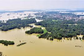 Cảnh ngập lụt sau mưa lớn tại Darbhanga, Bihar, Ấn Độ, ngày 5/8/2020. (Nguồn: THX/TTXVN) 