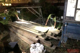 Lực lượng kiểm lâm phát hiện và thu giữ số gỗ lậu vận chuyển từ xe ôtô tải. (Nguồn: nhandan.vn) 