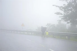 Trời rét kèm theo sương mù bao phủ trên các vùng núi cao Điện Biên. (Ảnh: Xuân Tư/TTXVN) 