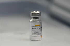 Vaccine phòng COVID-19 của Sinovac. (Nguồn: THX/TTXVN) 