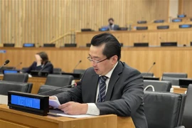 Đại sứ Phạm Hải Anh, Phó trưởng phái đoàn Việt Nam tại Liên hợp quốc, tham dự và phát biểu tại khóa họp. (Ảnh: TTXVN phát) 