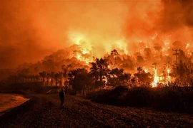 Vụ cháy rừng ở Schinos, phía Tây Athens, Hy Lạp ngày 19/5/2021. (Ảnh: AFP/TTXVN) 