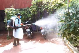 Phun thuốc diệt muỗi. (Ảnh: Nguyễn Chinh/TTXVN) 