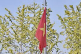 Đoàn Thể thao Người Khuyết tật Việt Nam tại Asian Para Games 2023. (Nguồn: Vietnam+)