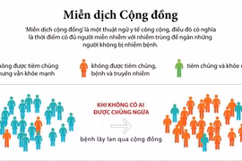 [Infographics] Tìm hiểu về thuật ngữ y tế 'miễn dịch cộng đồng'