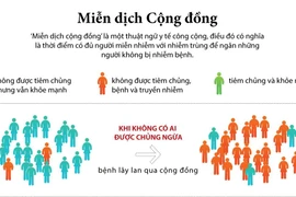 [Infographics] Tìm hiểu về thuật ngữ y tế 'miễn dịch cộng đồng'