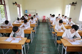 (Ảnh minh họa: Bích Huệ/TTXVN) 