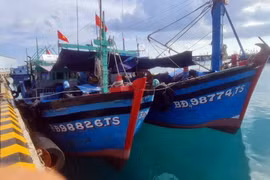 Tàu cá BĐ 98826 TS được lai dắt vào Âu tàu của đảo Trường Sa để sửa chữa. (Ảnh: TTXVN phát)