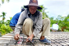 Các thành viên Tổ vận động xây cầu, đường Thới Hòa tích cực góp công sức tham gia xây cầu từ thiện. (Ảnh: Thu Hiền/TTXVN) 