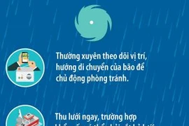 Những lưu ý về neo đậu thuyền tránh trú bão