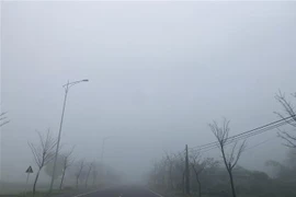 (Ảnh minh họa: Hoàng Ngà/TTXVN)