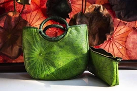 [Photo] Nghệ thuật bất tận từ sen của chàng họa sỹ trẻ xứ Huế