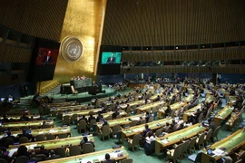 Toàn cảnh một phiên họp của Đại hội đồng Liên hợp quốc ở New York, Mỹ. (Nguồn: THX/TTXVN) 