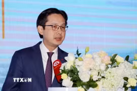 Thứ trưởng Bộ Ngoại giao Đỗ Hùng Việt. (Ảnh: Văn Đức/TTXVN)